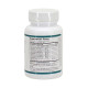 Probiotic Daily Support 60 Vegetarian Capsules